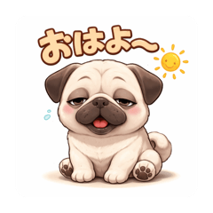 Sorenoa_20260321093849