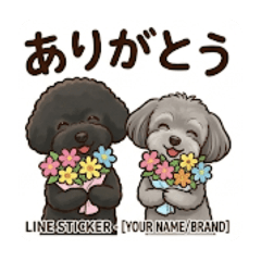 melon_20260321101633