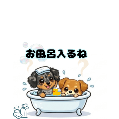 Dachshund & Chiweenie casual talk 2