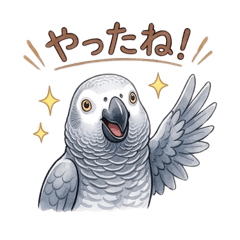 African Grey Parrot : Daily Stickers