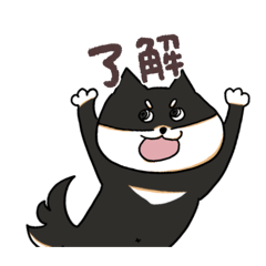 Sunsuke_20260321101856