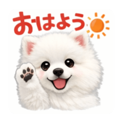 Hina Hina_20260321104047