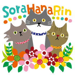 Cat brother and sistersSoraHanaRin(thai)
