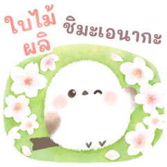 Fluffy touch Shimaenaga4(thai)