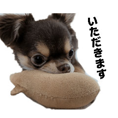 yuusuke_20260322102555