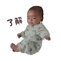 White bear_20260322102725