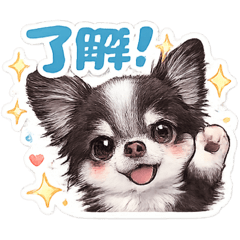 haachi_20260322104250