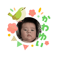 sakamotoerina_20260322143230