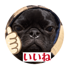 morima_20260322200428