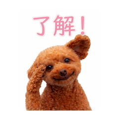 Zhang_20260321125115