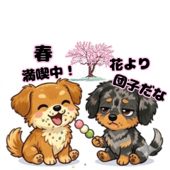 Dachshund & Chiweenie Spring talk 2