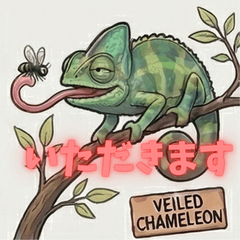 Reptile Encyclopedia Unique Lizards