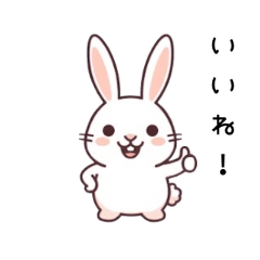 Casual White Bunny 2