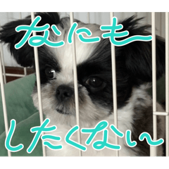 inari_20260322121432