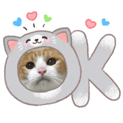 nameko_20260322121800