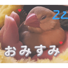 wakana_20260322181714