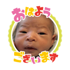 takuan_20260322182452