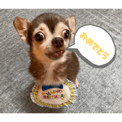 Miwami_20260322210935