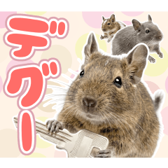Everyday Degu Stickers!