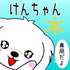 Kenchan only Playful Maltese Sticker