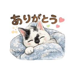 Everyday Cats Everyday