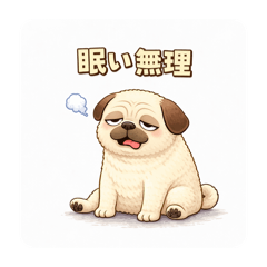 Sorenoa_20260321162353