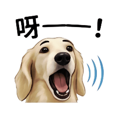 臘腸狗搞笑日常