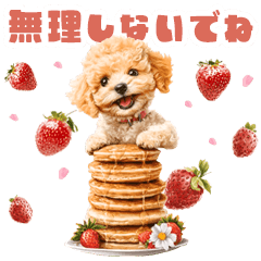 春の飛び出す！トイプードルスタンプ
