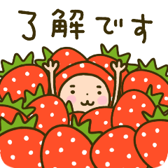 Dharma chan 4 strawberry festival