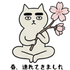 春季的奇妙姿勢