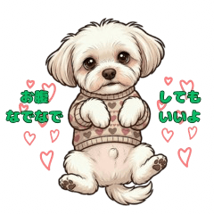 Gentle Momo's Daily Life2 :Look at Me!