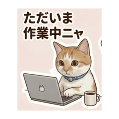 Miyaji_20260321171555