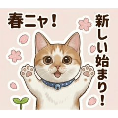 Miyaji_20260321172533