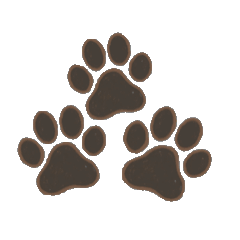 hibagon_20260321201535