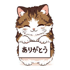 Ak Zetton the Tabby Cat: Your Daily Boss