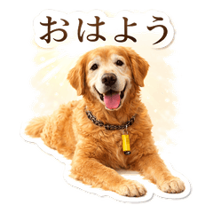 Golden_Lucky_01(Gentle Daily Life)