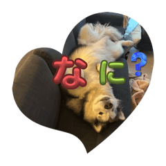 Ryuzo_20260322191904