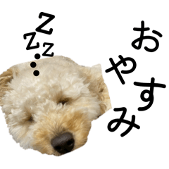 JIBGX_20260322191809