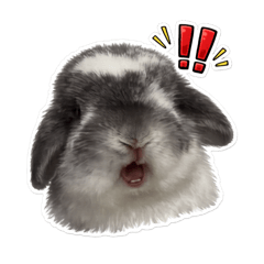 pomuuu_20260322000038