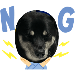 Azuki_20260322140707