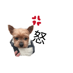 karen_20260322142235