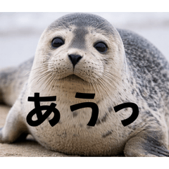 DensetunotikinsyouninDX_20260322142338