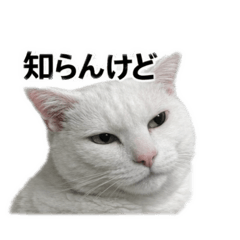 ayaka_20260322000923