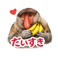 matpmxn215_20260322063932