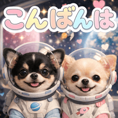 とびだす★チワワ♪楽しいあいさつ日常/犬