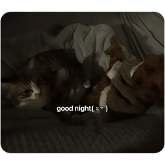 oouchida kio_20260322152004