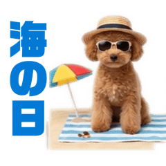 MATSUMOTO_20260322215013