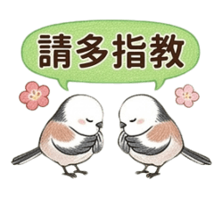 永久實用！銀喉長尾山雀日常問候