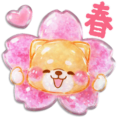 立體亮面貼紙❤療癒柴犬❤春天禮貌版