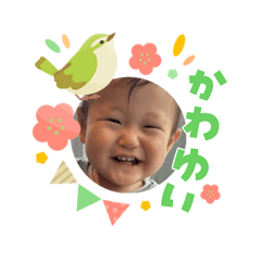 kabochan_202603221954422